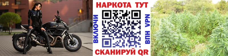  Cocaine Куйбышев
