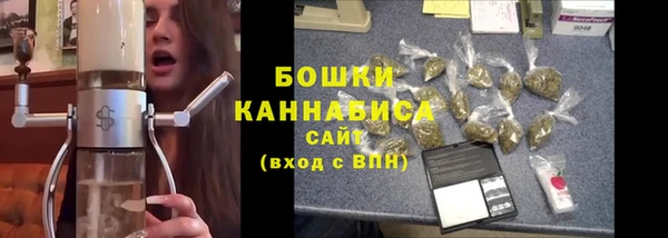 шишки Ростов