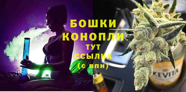 дживик Аркадак