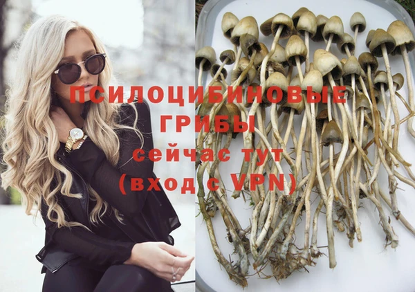 дживик Аркадак