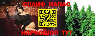 метадон Кингисепп