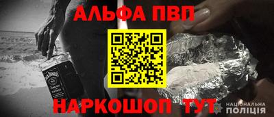 бошки Кимры