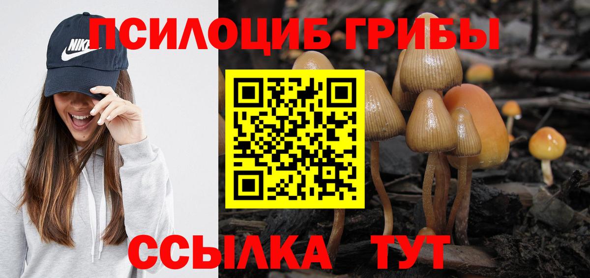 Псилоцибиновые грибы Magic Shrooms Куйбышев